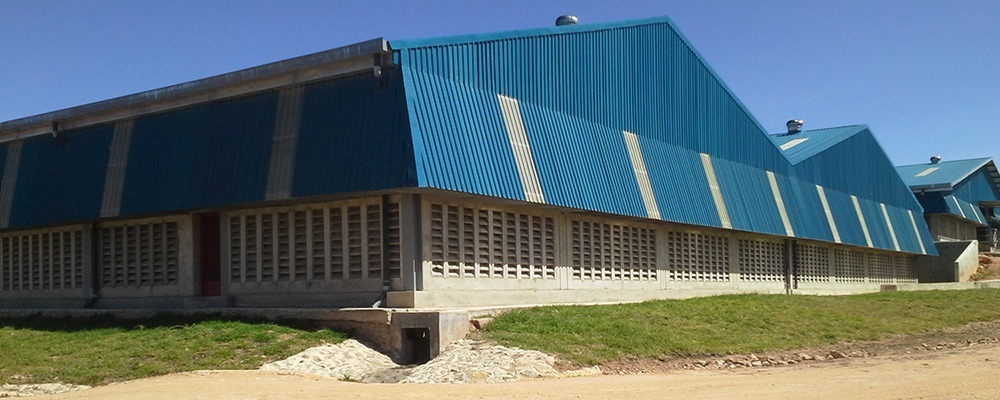 Facility Warehouse